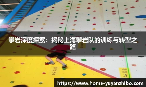 雨燕体育直播平台