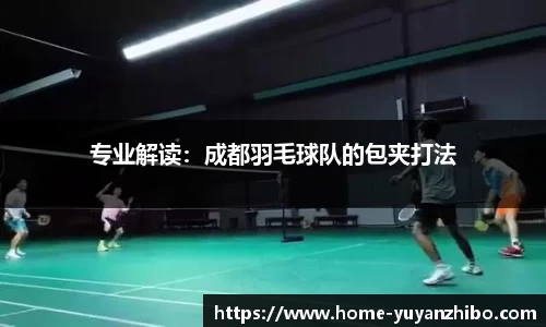雨燕体育直播
