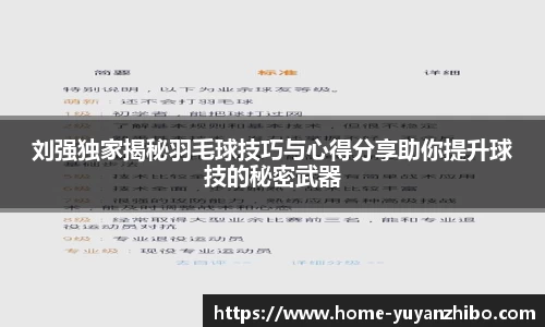 雨燕体育直播